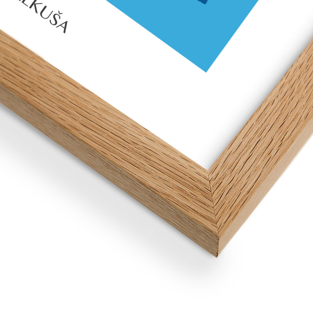 Framed matte paper poster - Falkuša